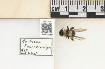Media type: image;   Entomology 774089 Aspect: Labels